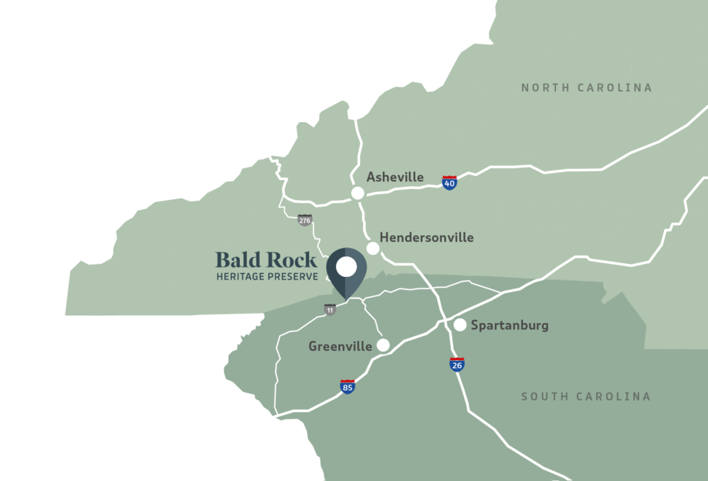 Explore • Friends of Bald Rock