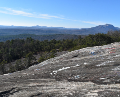 Bird Walk at Bald Rock Heritage Preserve